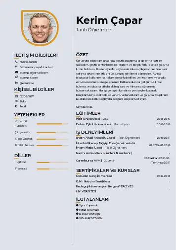 Tarih Öğretmeni Cv Örnekleri cv indir